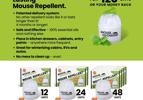 Mouse Chaser Shopify website design & development.