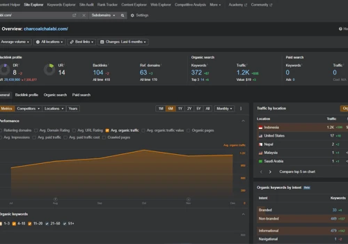 SEO, Web Development, Social Media Optimization