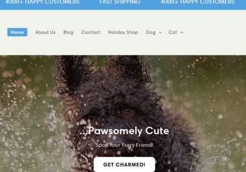 Shopify Store Design For Cool Critter Charms