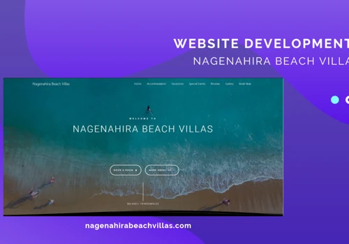 Website development