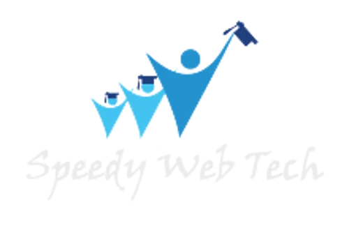 SEO Company Delhi NCR India