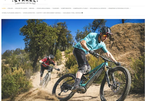 Full Stack Developer for Dahlmans Sykkel Ecommerce
