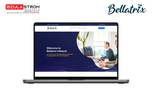 Website development