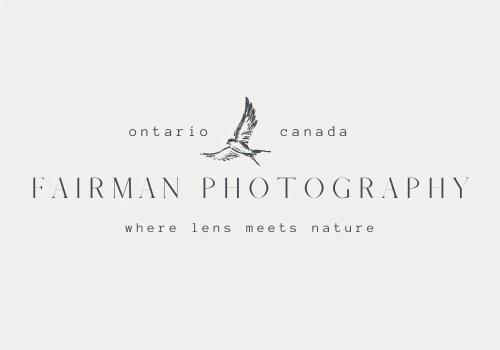 Professional Photographer Logo Design Commission