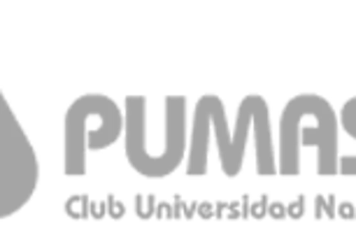 logo  brand manual
