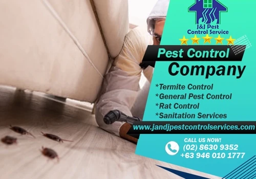 Pest Control Company
