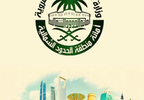 A GOVERNMENTAL APPLICATION IN THE DIGITAL TRANSFORMATION OF THE MANAGEMENT OF COMPLAINTS AND SUGGESTIONS OF CITIZENS