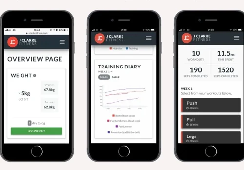 Testing for Fitness Portal