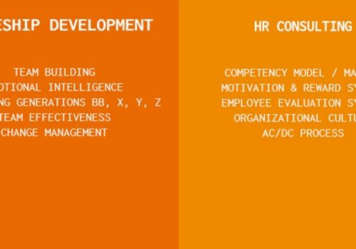 Our services