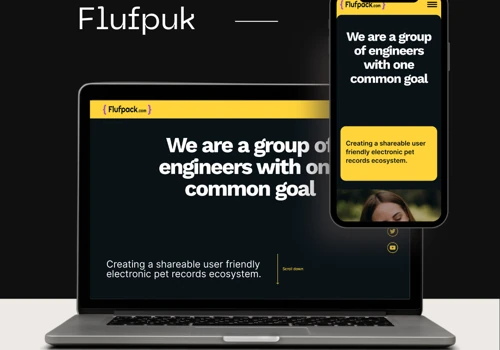 Website development for startup