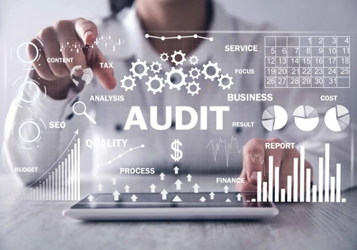 Website Audit Services