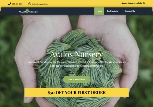 Website design for Florida Plant nursery