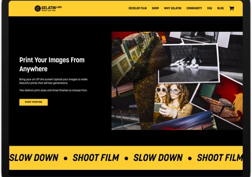 Gelatin Labs : Film Development Platform UI/UX