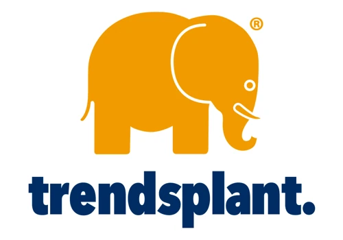 Increase digital presence and +150% digital sales