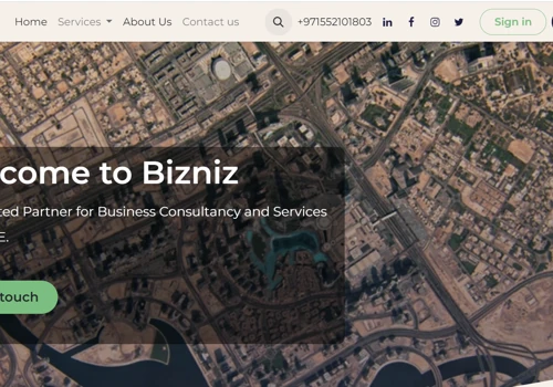 Website Design & Digital Marketing for Bizniz