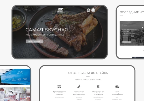 Web design for Kazbeef.kz