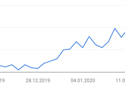 SEO case