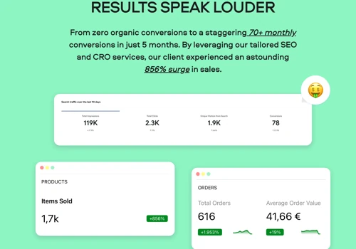 +856% in Sales after 5 month of SEO