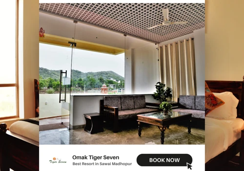 Social Media Marketing for Omak Tiger Seven