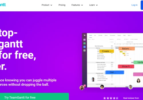 User Support and Sales for TeamGantt