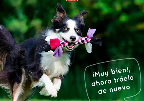 GrandPET