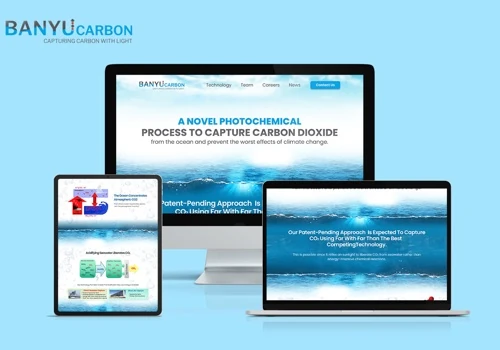Website Development Project