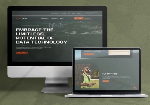 FlyGuys Website: Charting New Heights