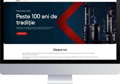 A presentation website - Sinteza