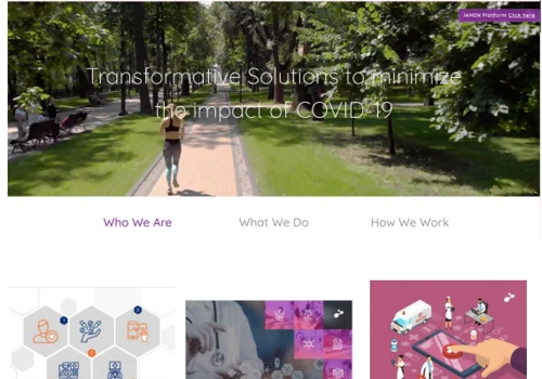Website Design, Development and SEO