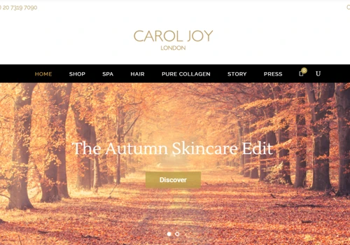 Website Design and Development for Carol Joy