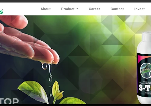 Web Design