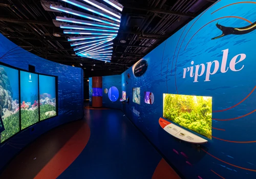 Shedd Underwater Beauty