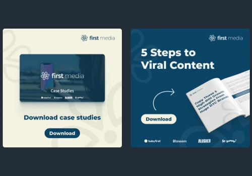 Lead Magnet Creation & LinkedIn Ads