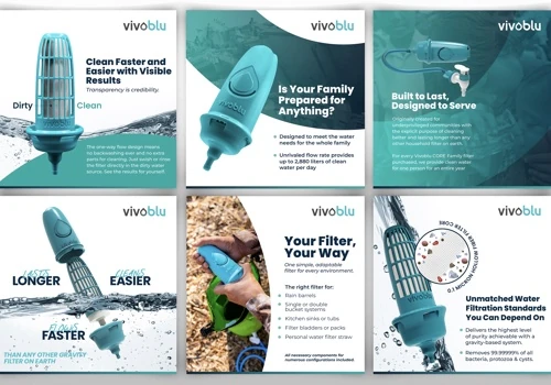 Infographics for Vivoblu