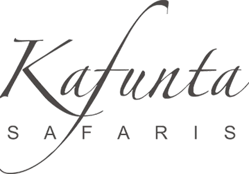 Kafunta Safaris Website & Marketing