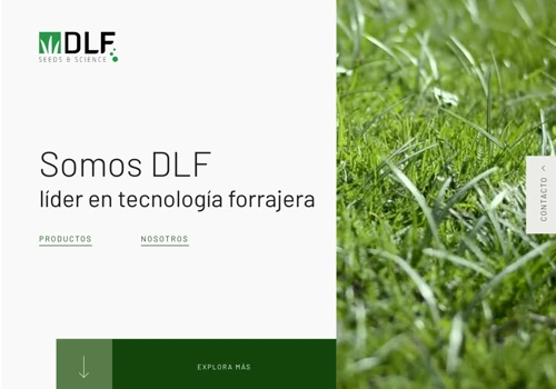 DLF Seeds