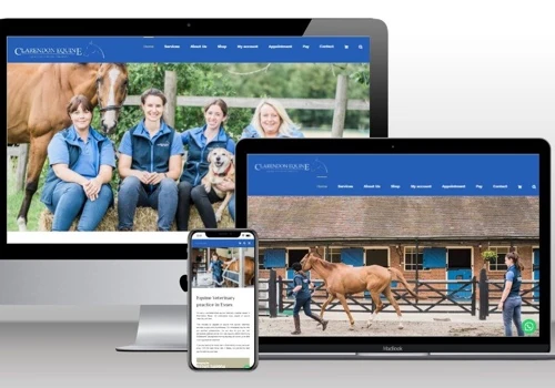 Clarendon Equine