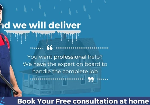 Website Design