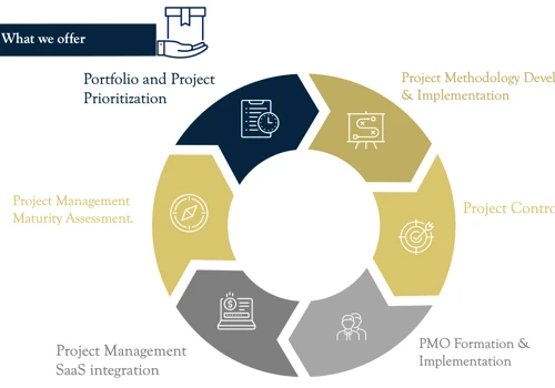 Project Portfolio Management