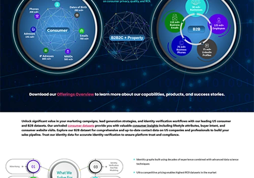 BigDBM Website Redesign Project .