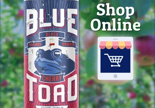 E-Commerce Ad