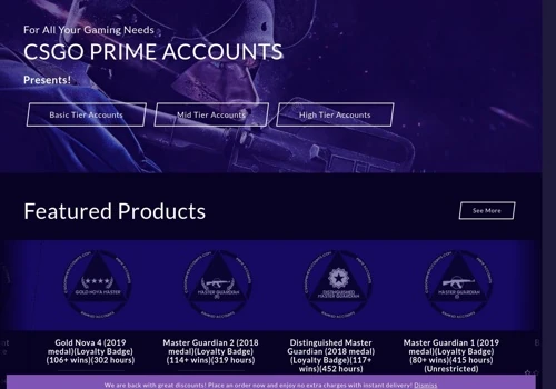 Ecommerce Website