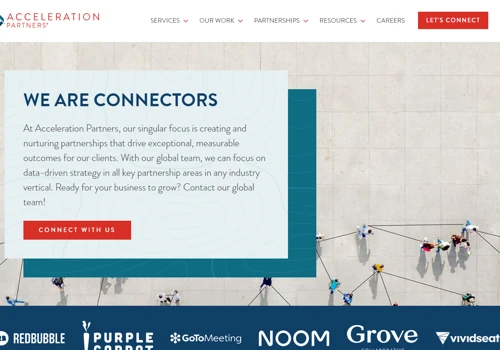 International Website Design and Development