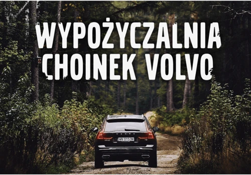 Wypożyczalnia Choinek Volvo