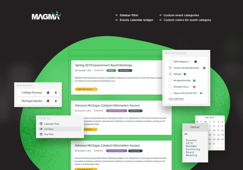 WordPress Plugin Customization