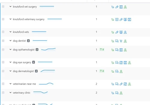 Independent Vet Surgery Ranking First on Google