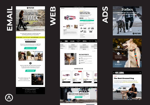Optimizing Customer Journeys: From Ads to Web