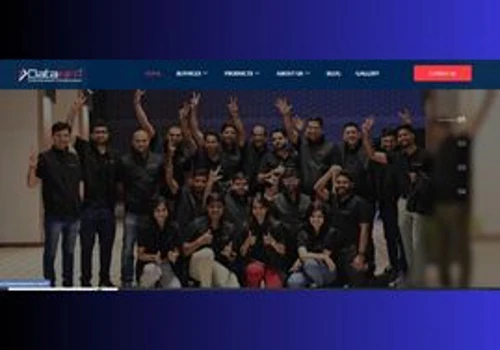 DataInfa Website Development