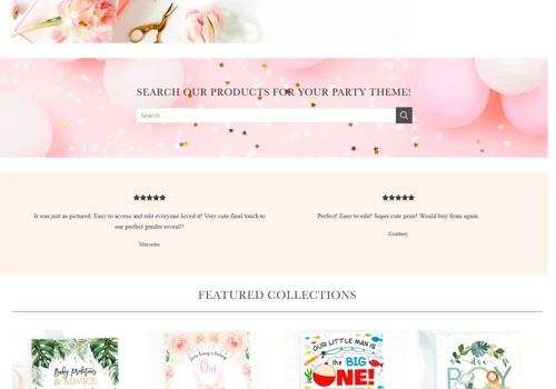 Ecommerce website