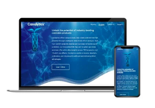 Web Application (SAAS)